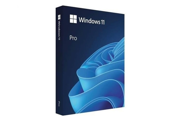 다이렉트 엑스 12 마이크로 소프트 윈도우 11 전문적 64-비트 UBS 드라이브  소매 박스 SKU-HAV-00029