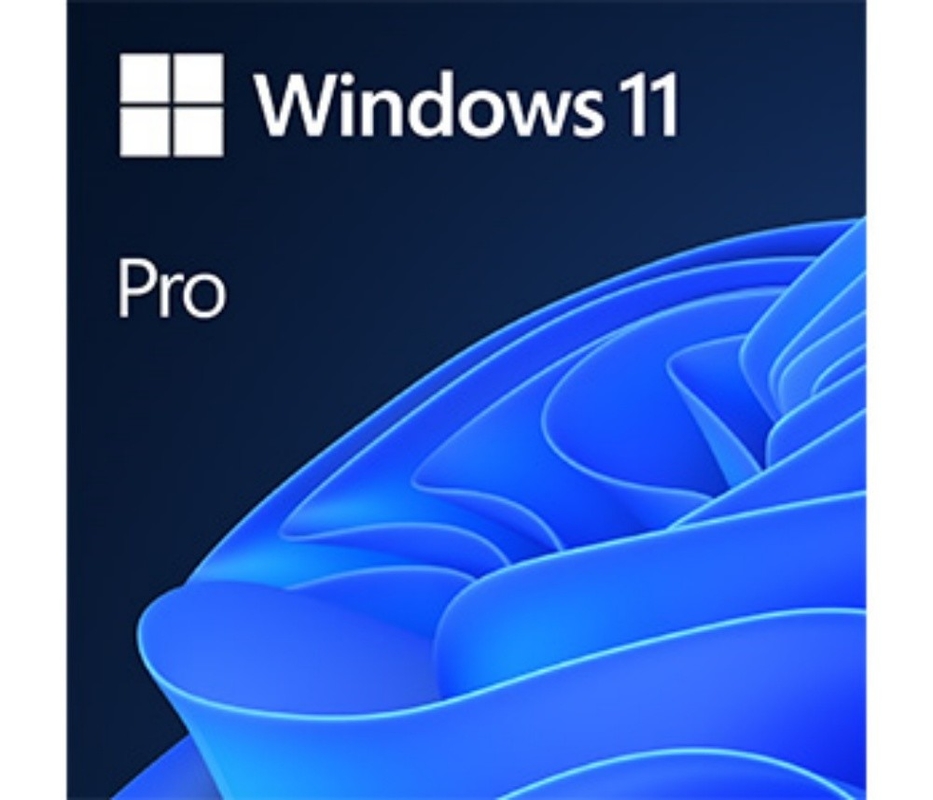 UEFI 보안 부팅 가능 마이크로소프트 윈도우 11 프로페셔널 윈도우 플랫폼에서 64비트 운영 체제의 최상위 선택