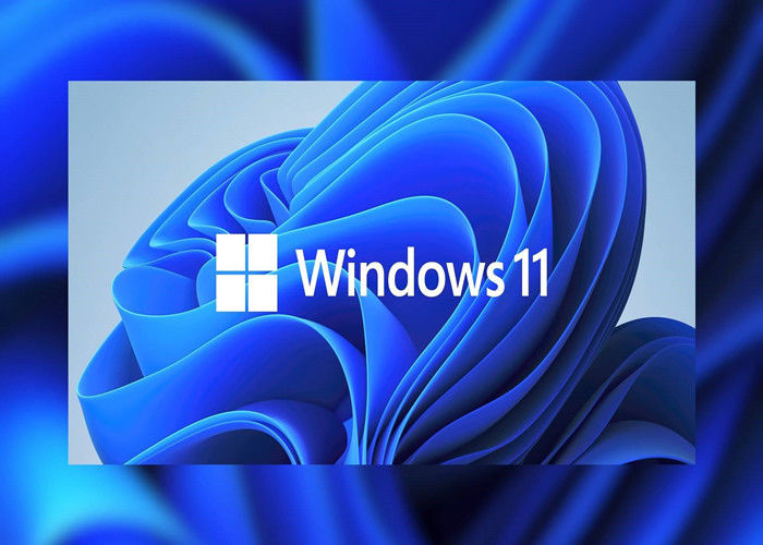 UEFI OEM DVD Windows 라이센스 키 전체 패키지 TPM 2.0 Microsoft Windows 11 Pro