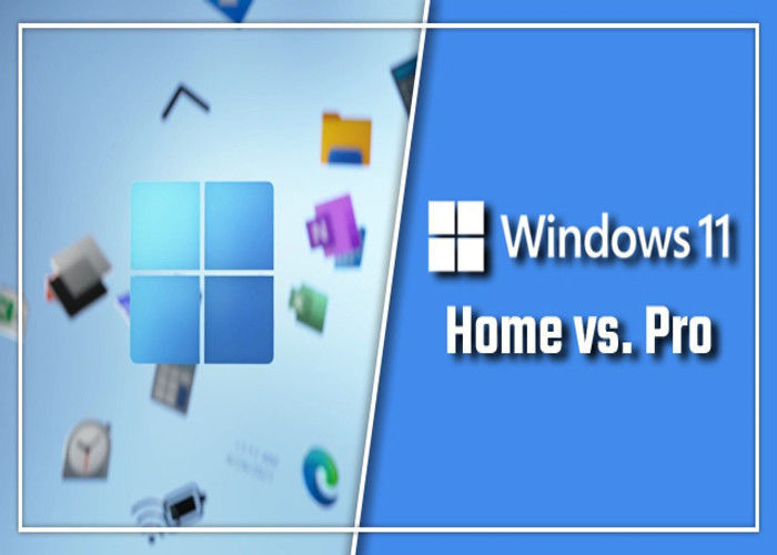 TPM 2.0 Microsoft Windows 11 Professional OEM Box Win 11 홈 정품 인증 키 온라인